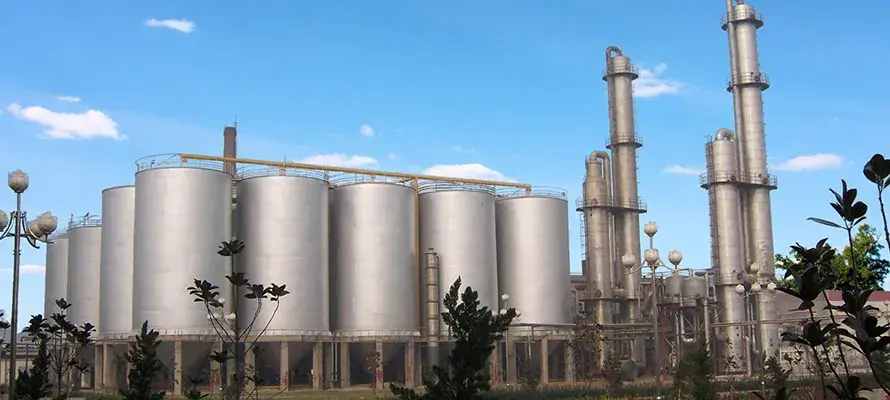 Biomass & Renewable Process Heat